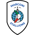 Marconi Stallions W