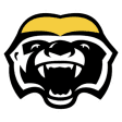 Hamilton Honey Badgers