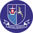 Salthill Devon