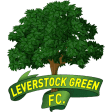 Leverstock Green