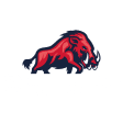 Ravensburg Razorbacks