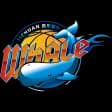 Sichuan Blue Whales U21