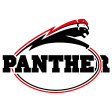 Dusseldorf Panther