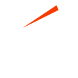 Trent Rockets W