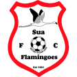 Sua Flamingoes