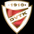 DVTK Jegesmedvék