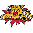 Moncton Wildcats