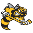 Sarnia Sting