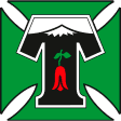 Deportes Temuco W