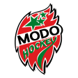 Modo Hockey U20