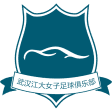 Wuhan Jiangda W