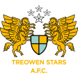 Treowen Stars