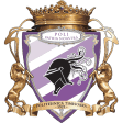 Politehnica Timisoara W