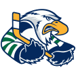 Surrey Eagles