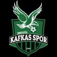 Inegol Kafkasspor U19