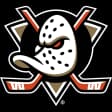 Ducks W