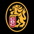 Leones del Caracas