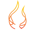 Townsville Fire W