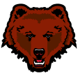 Brown Bears W