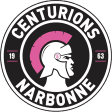 Narbonne Volley