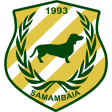 Samambaia