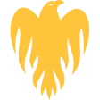 Wellington Firebirds