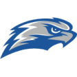 Concordia Wisconsin Falcons