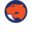 Sandringham Sabres W
