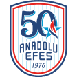 Anadolu Efes (cyber)
