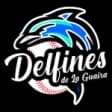 Delfines De La Guaira