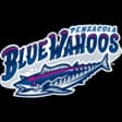 Pensacola Blue Wahoos