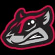 Richmond Flying Squirrels