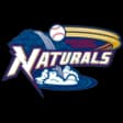 Northwest Arkansas Naturals