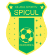 Cs Spicul Bucerdea