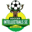Soccer Intellectuals Fc