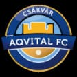 Csákvári TK
