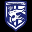 Wuhan Three Towns U20