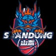 Shandong Hi-speed U21