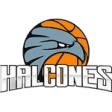 Halcones de Ciudad Obregon