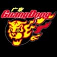 Guangdong Southern Tiger U19