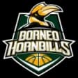 Borneo Hornbills