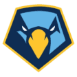 Sky Hawks