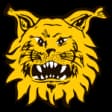 Ilves Tampere