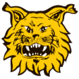 Ilves Tampere W