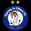 Gyeongju Citizen W