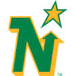 Newcastle North Stars