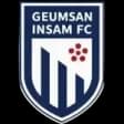 Geumsan Insam