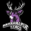 Bahawalpur United