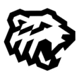 Chelyabinsk Bears (Amateur)
