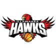 Illawarra Hawks Waratah